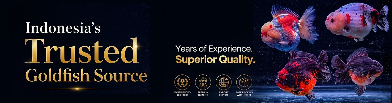 GoldFishID System promo