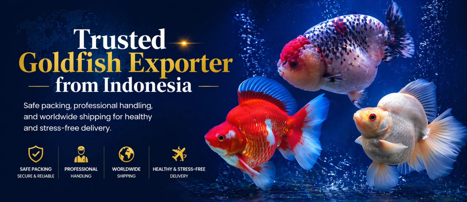 GoldFishID System promo
