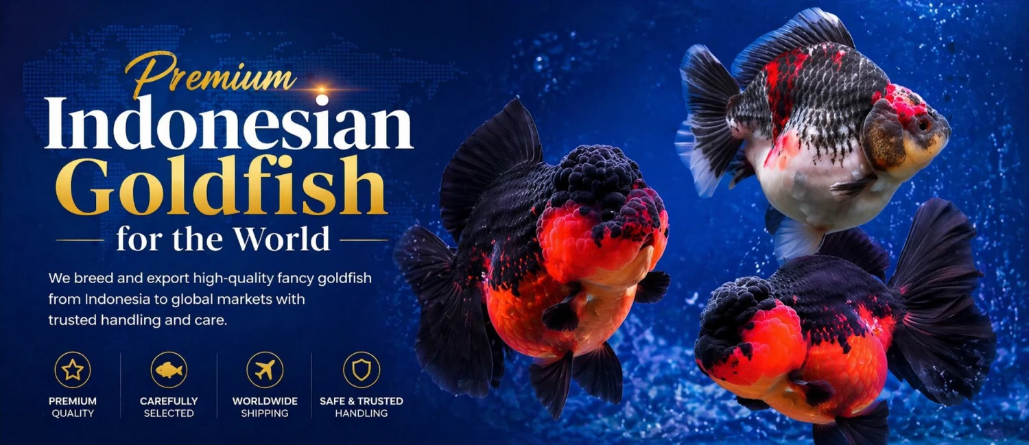GoldFishID System promo